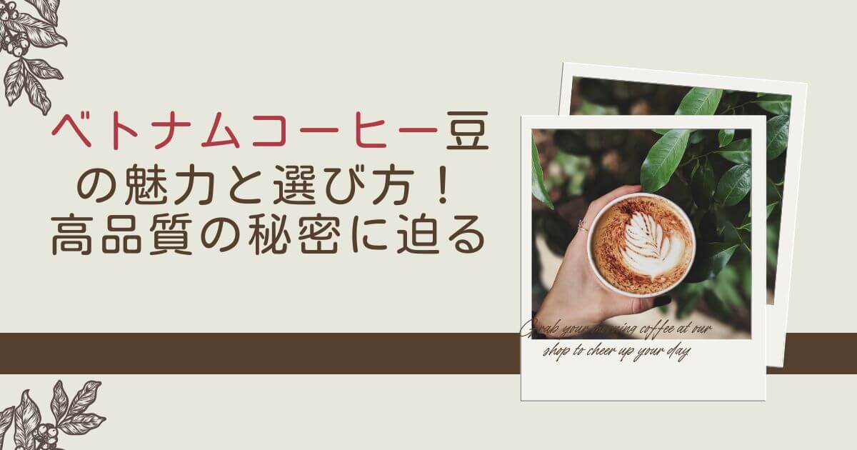 ベトナムコーヒー豆の魅力と選び方：高品質の秘密に迫る